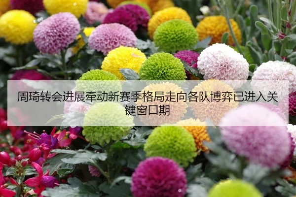 zhou-qi-zhuan-hui-jin-zhan-qian-dong-xin-sai-ji-ge-ju-zou-xiang-ge-dui-bo-yi-yi-jin-ru-guan-jian-chuang-kou-qi-2-350.jpg
