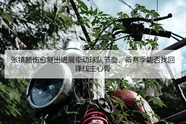 张镇麟伤愈复出进展牵动球队节奏，新赛季能否找回锋线主心骨